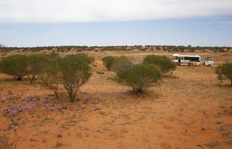 711_Pauze langs gravelroad (lekke band!).jpg